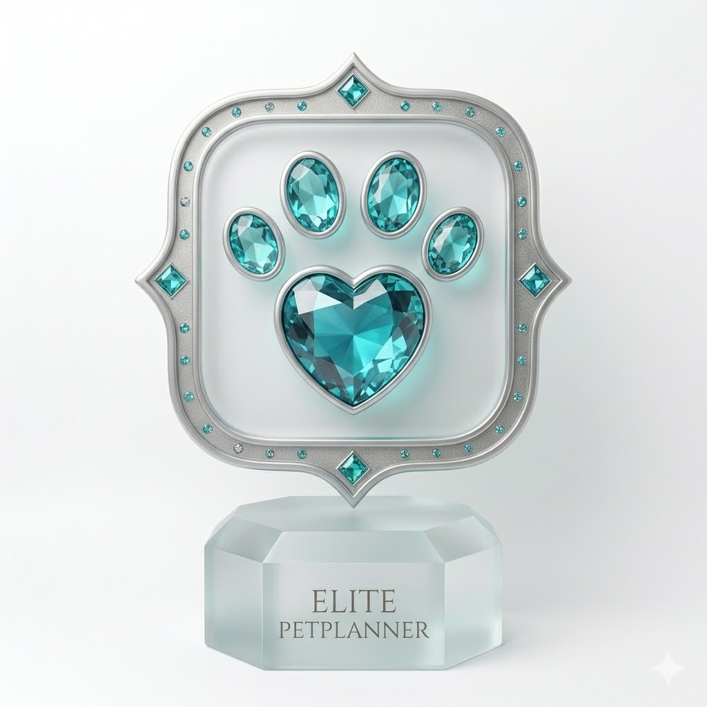 Nível 5 — Elite